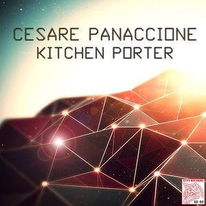 Kitchen Porter