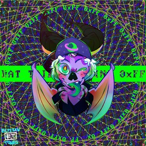 Entering 0xFF
