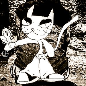 cat organ 的头像