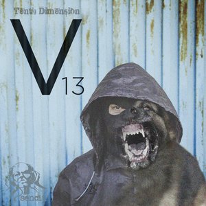 Tenth Dimension V13