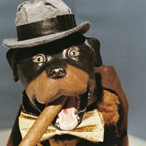 Avatar de Triumph The Insult Comic Dog