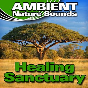 Healing Sanctuary (Nature Sounds)