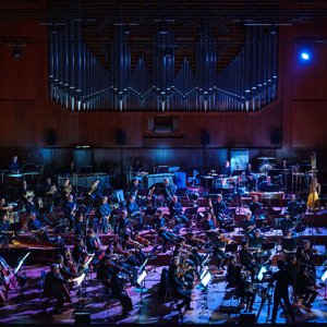 Ensemble Modern Orchestra 的头像