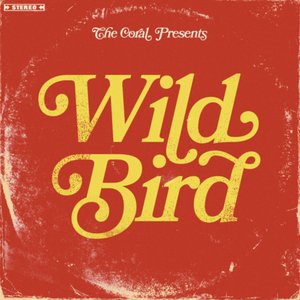 Wild Bird