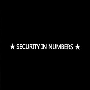 Security in Numbers