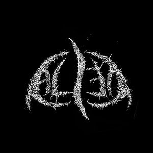 al13n 的头像