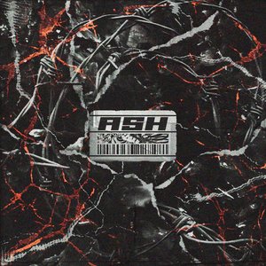 Ash - Single