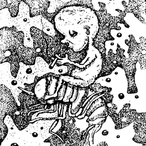 Beck - Banjo Story - Zortam Music