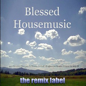 Blessed Housemusic (20+ Winter Deeptech Meets Tribal Proghouse Music Tunes In Key-B And The Paduraru Continuous DJ Mix)