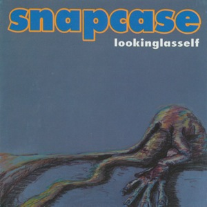Lookinglasself cover