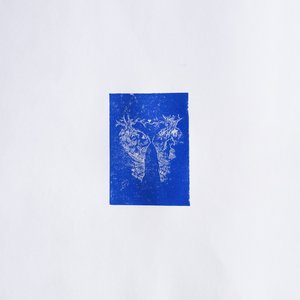 Rainbows in the Gasoline