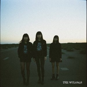 the Wulongs 的头像