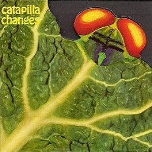 Catapila 的头像