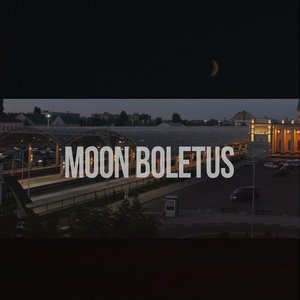 Moon Boletus