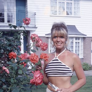 Mary Millington 的头像