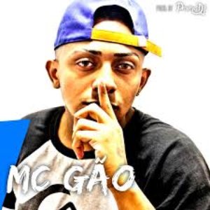 Mc Gão