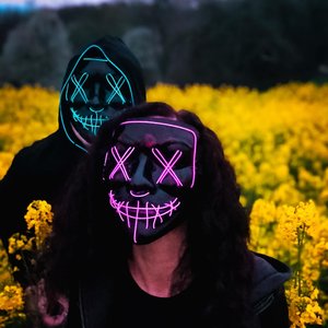About Gorillas and Vampires 的头像