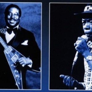 Immagine per 'Albert King & John Lee Hooker'