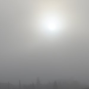 Suburbed