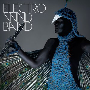 Electro Wind Band (feat. Ohlf) [A Tribute to Vitalic, Aphex Twin, Nathan Fake / James Holden]