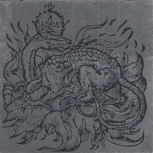 Svarte Skoger
