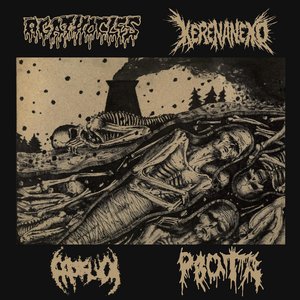 Agathocles / Kerenaneko / Prosuck / Rvota