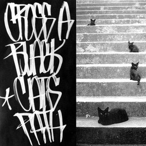 Cross a Black Cat's Path