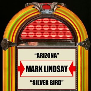 Arizona / Silver Bird