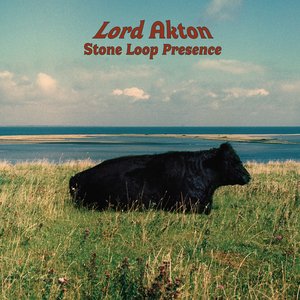 Stone Loop Presence