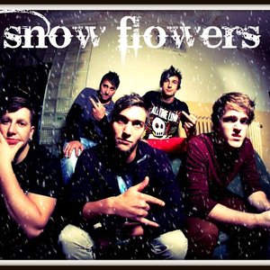 Avatar for Snow Flowers