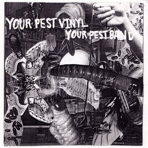 Your Pest Vinyl