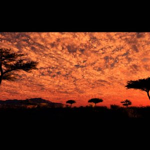 Panafrican Project 的头像