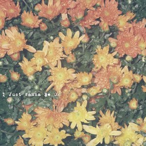 I Just Wanna Be Ok - Single