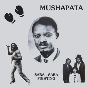 Saba-Saba Fighting