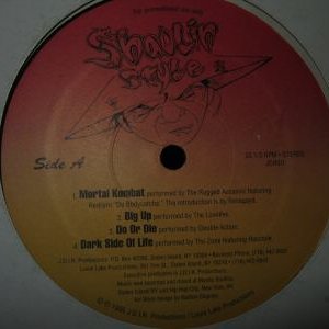 Shaolin Style