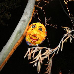 Camerastilo 的头像