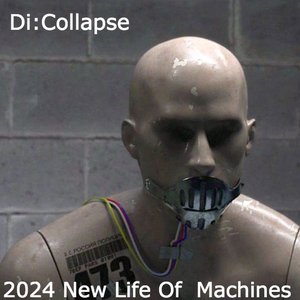 Di:Collapse 的头像