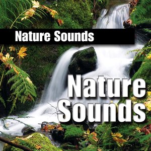Nature Sound