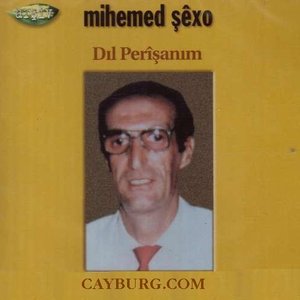 Dil Perisanim