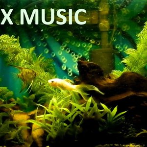 “Relax Music”的封面