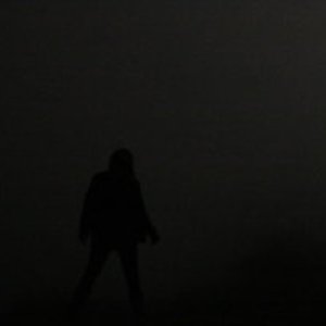 The Lucid Night 的头像