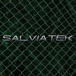 salviatek 的头像