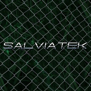 Avatar for salviatek