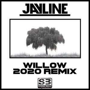 Willow (2020 Remix)