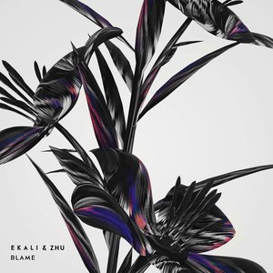 Blame - Single
