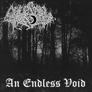 An Endless Void