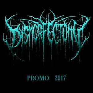 Promo 2017