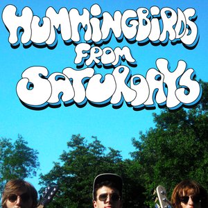 Hummingbirds From Saturdays