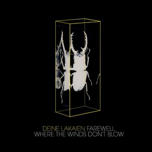 Farewell/Where The Winds Don't Blow