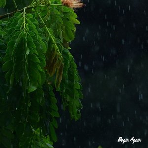 Begin Again